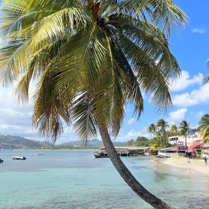 Studio La «Kaz' A Coco» Anse Caritan Sainte-Anne Zewnętrze zdjęcie