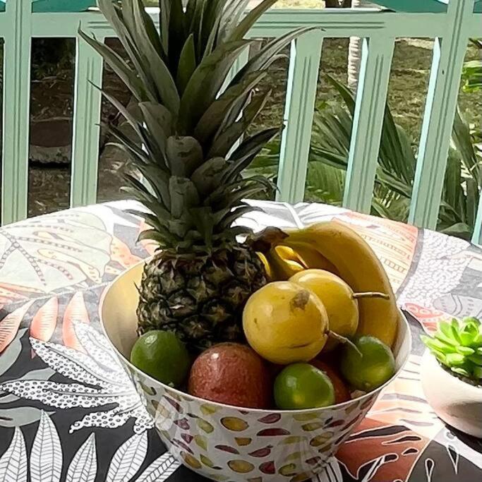 Studio La «Kaz' A Coco» Anse Caritan Sainte-Anne Zewnętrze zdjęcie